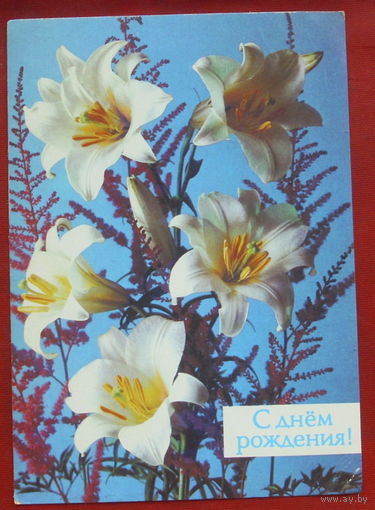 С днём рождения! Подписанная. 1988 года. Костенко. 1071.