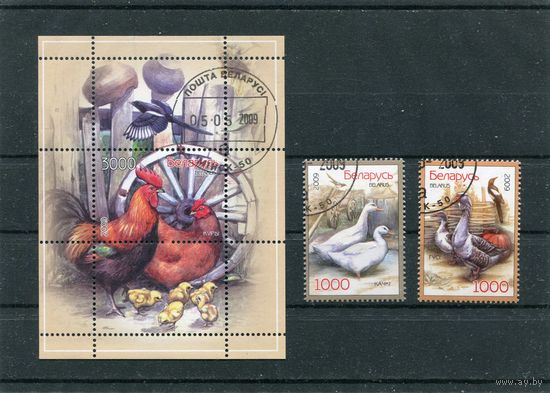 Беларусь 2009.. Домашние птицы