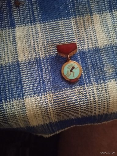 Знак тяжёлый не частый колодка