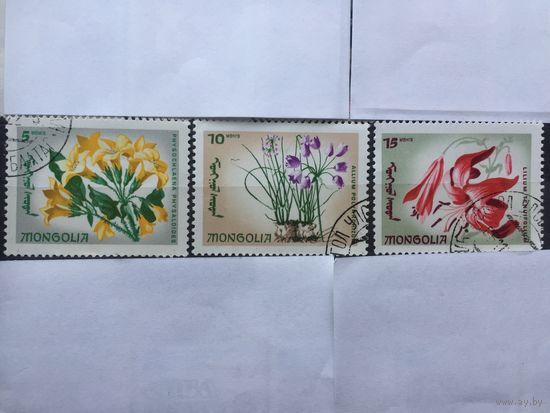 Монголия 1966 год. Цветы