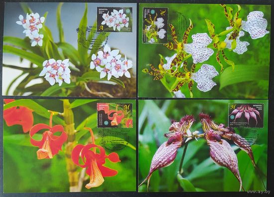 Беларусь 2016 КМ орхидей