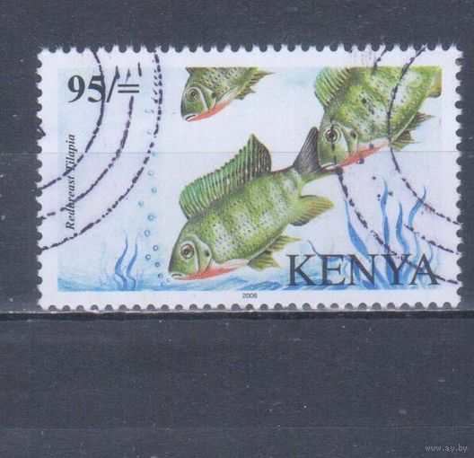 [511] Кения 2006. Фауна.Рыбы. Концовка серии. Гашеная марка. Кат.гаш.100 е. Да-да,это не ошибка!)