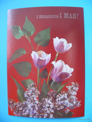Фото Дергилева И., С праздником 1 Мая! 1990, чистая.