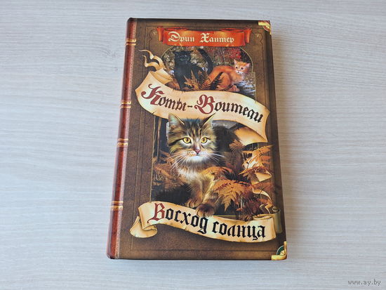 Восход солнца - коты воители Хантер