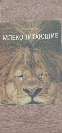 Млекопитающие