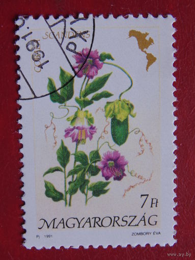 Венгрия 1991 г. Цветы.