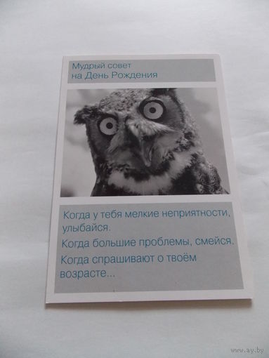 Открытка  С Днем Рождения ( с совой)