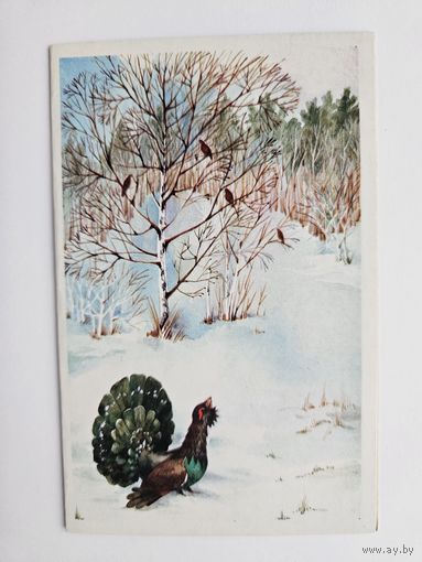 Величкина 1987 с новым годом глухарь РЕДКАЯ