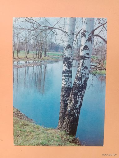 Открытка,1984
