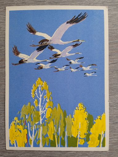 Лаптев. Доброго пути!