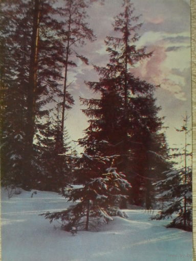 ЧИСТАЯ ОТКРЫТКА СССР. РЕКЛАМА АЭРОФЛОТА. РУССКАЯ ПРИРОДА. ДЕКАБРЬ.