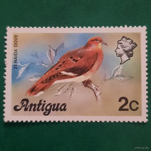 Антигуа 1981. Фауна. Птицы. Zenaida Dove