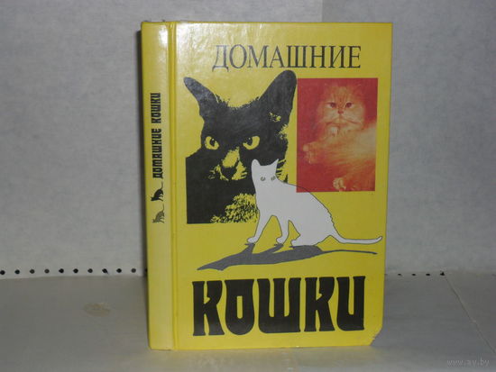 Домашние кошки.