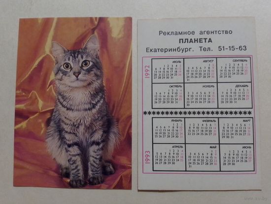 Карманный календарик. Котик.1992 год