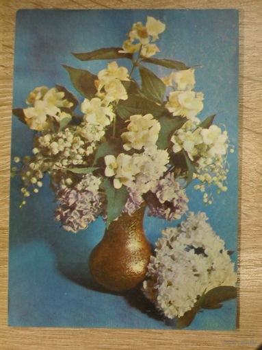 ПОДПИСАННАЯ ОТКРЫТКА СССР. "ЖАСМИН И СИРЕНЬ". ФОТО. Г. КОСТЕНКО. 1973 ГОД.