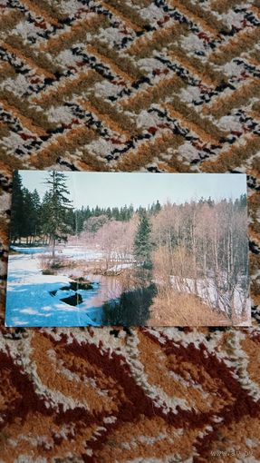 Открытка "весна" Костенко 1983г чистая с дефектом