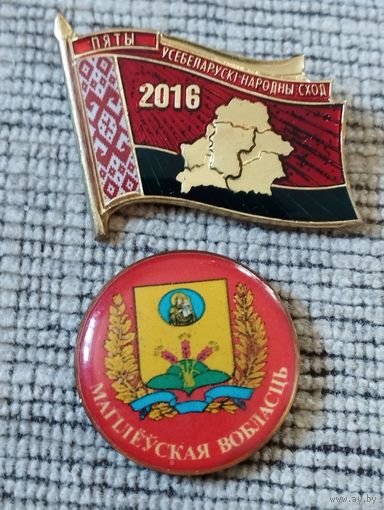 Пяты Усебеларускi народны  сход  , 2016 год + дэлегат Магилеуская вобласць