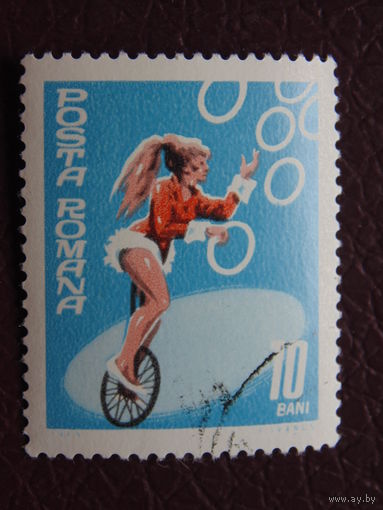 Румыния. Цырк.