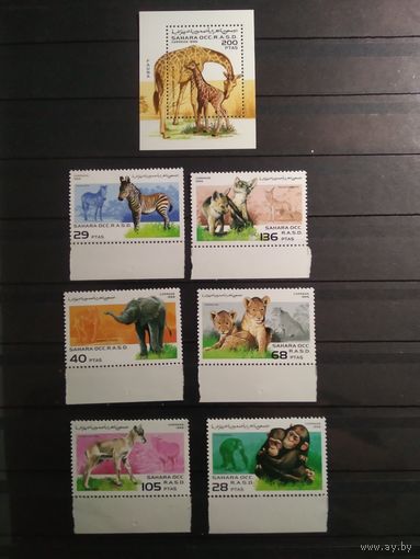 Сахара 1996 г. Животные.