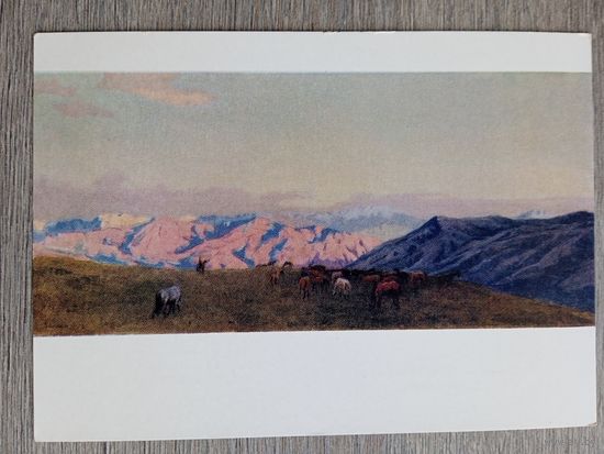 1958. Малеина. Табун в горах