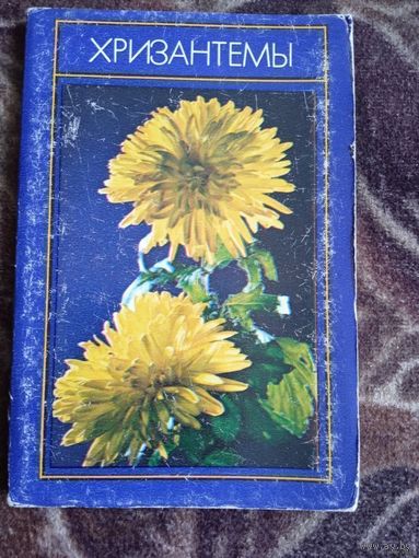 ХРИЗАНТЕМЫ