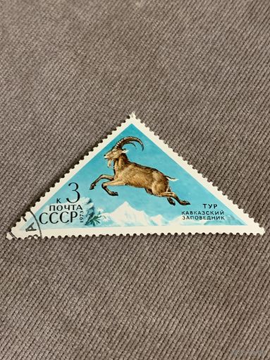 СССР 1973. Тур. Кавказский заповедник. Марка из серии