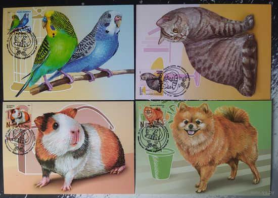 Беларусь 2025 КМ, домашние питомцы .