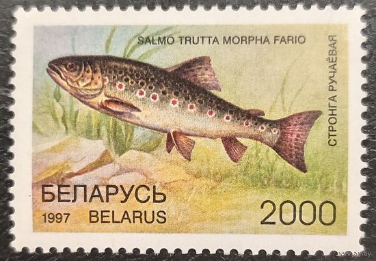 Беларусь 1997. Редкие виды рыб. Форель ручьевая. Марка из серии