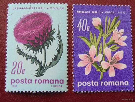 Румыния 1970г. Флора.