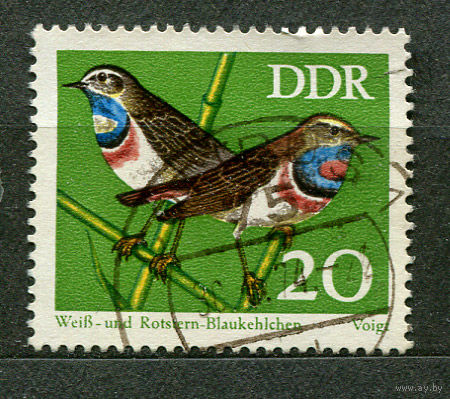 Певчие птицы. ГДР. 1973