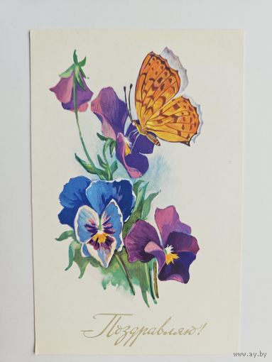 Шмелева ( Линде) 1979 Поздравляю