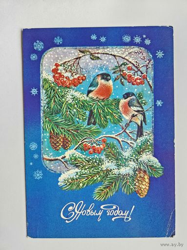 Жебелева 1986 С новым годом