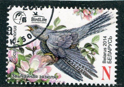 Беларусь 2014.. Птица года. Кукушка