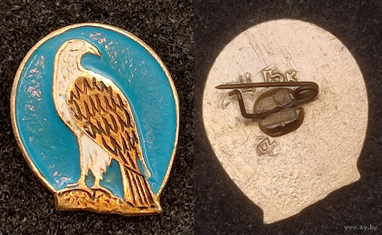 Птица. Орел