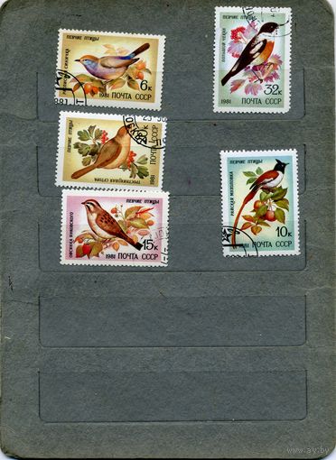 СССР, 1981, ПТИЦЫ   ,  серия  5м