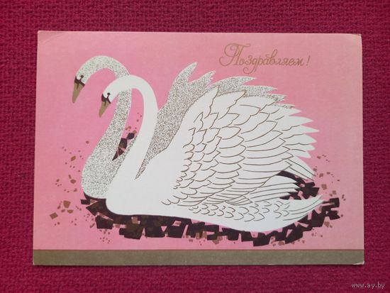 Поздравляем! ИЗО Чистая.