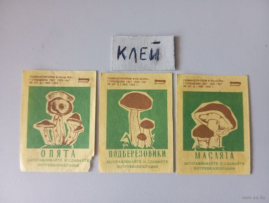Спичечные этикетки ф.Белка. 1968 год