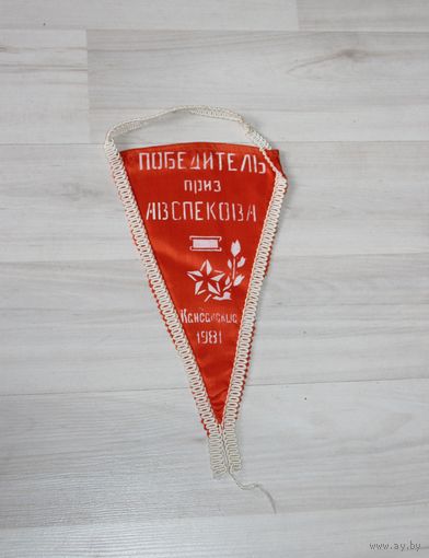 Вымпел, победитель приз А.В. Спекова, 1981 г.