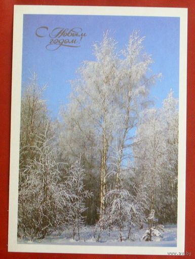 С новым годом! Чистая. 1988 года. Дорожинского. 1964.