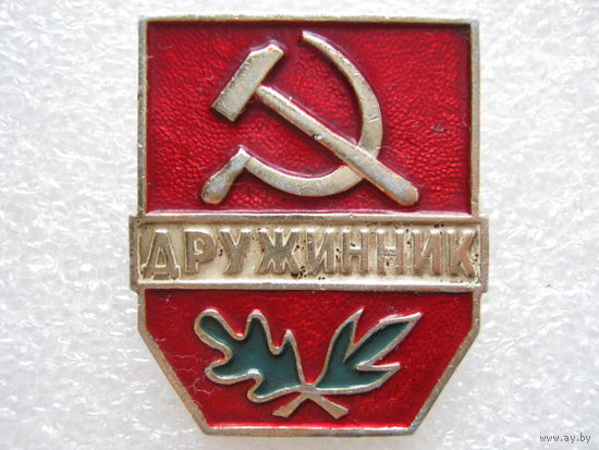 Дружинник.