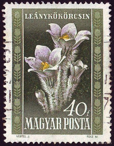 Флора Венгрия 1950 год 1 марка