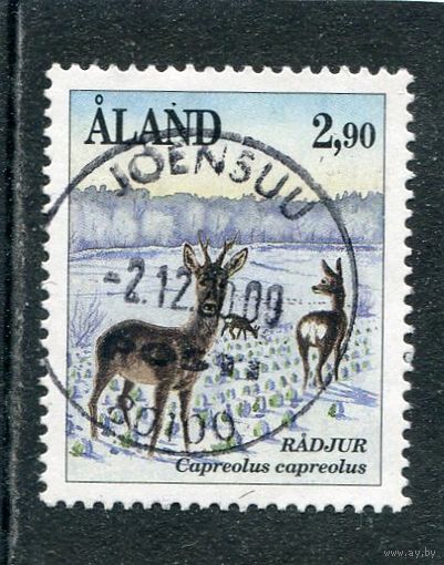 Аланды. Фауна. Европейская косуля