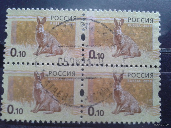 Россия 2008 Стандарт, заяц квартблок