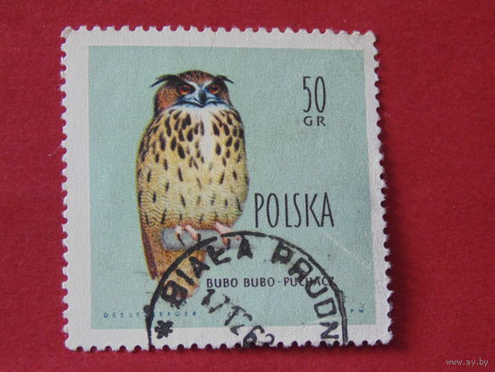 Польша 1960 г. Птицы. Филин.