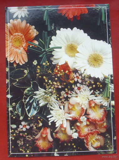 Цветы. Чистая. 1995 года. Беларусь. 454.