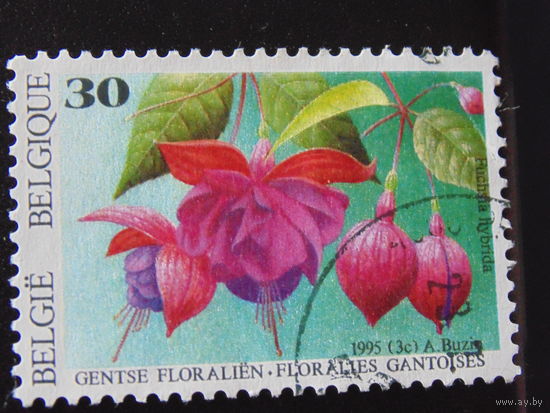 Бельгия 1995 г. Цветы.