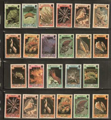 Виргинские острова-1979-1982(Мих.365II-382II, 369III-377III) , **  , Морская  Фауна,Раки, Крабы, Раковины (полная серия)+ 6 марок перевыпуск 1982г