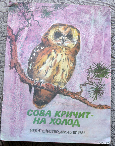 Сова кричит - на холод. Альбом для раскрашивания.