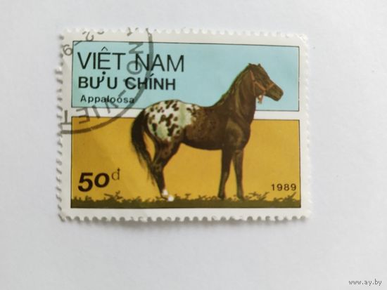 Вьетнам  1989 лошадь