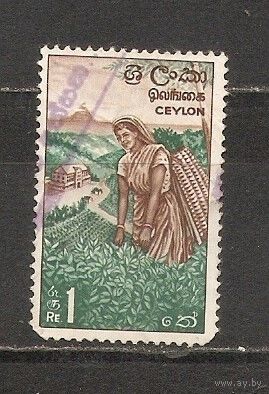 ФФ2 Цейлон 1964 Чай гаш
